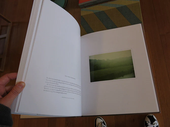Casper Sejersen - Belongs to Joe - Image 7