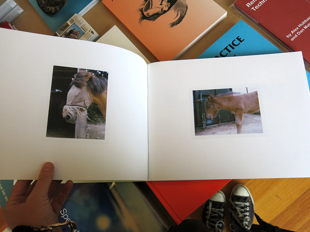 Charlotte Dumas - WORK HORSE - Image 3