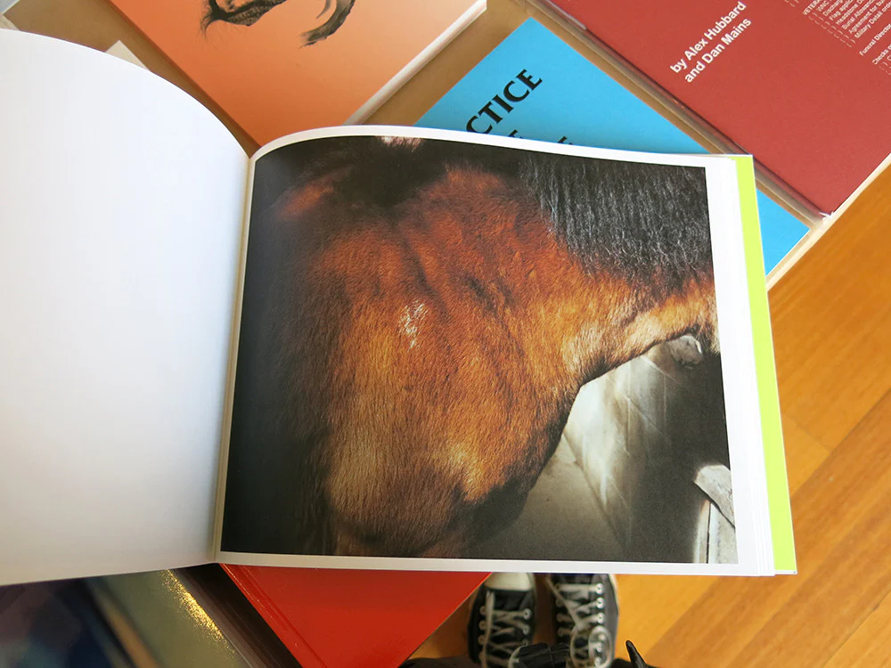 Charlotte Dumas - WORK HORSE - Image 8