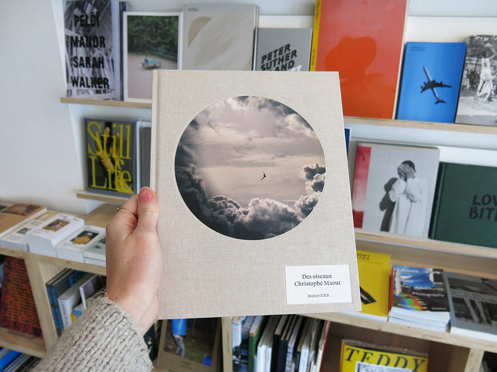 Christophe Maout – On Birds (Des oiseaux)