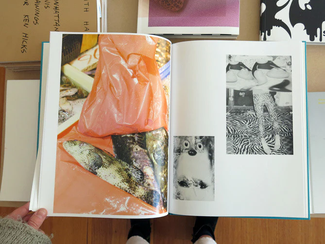 Christopher Day - New Reading Order - Image 5
