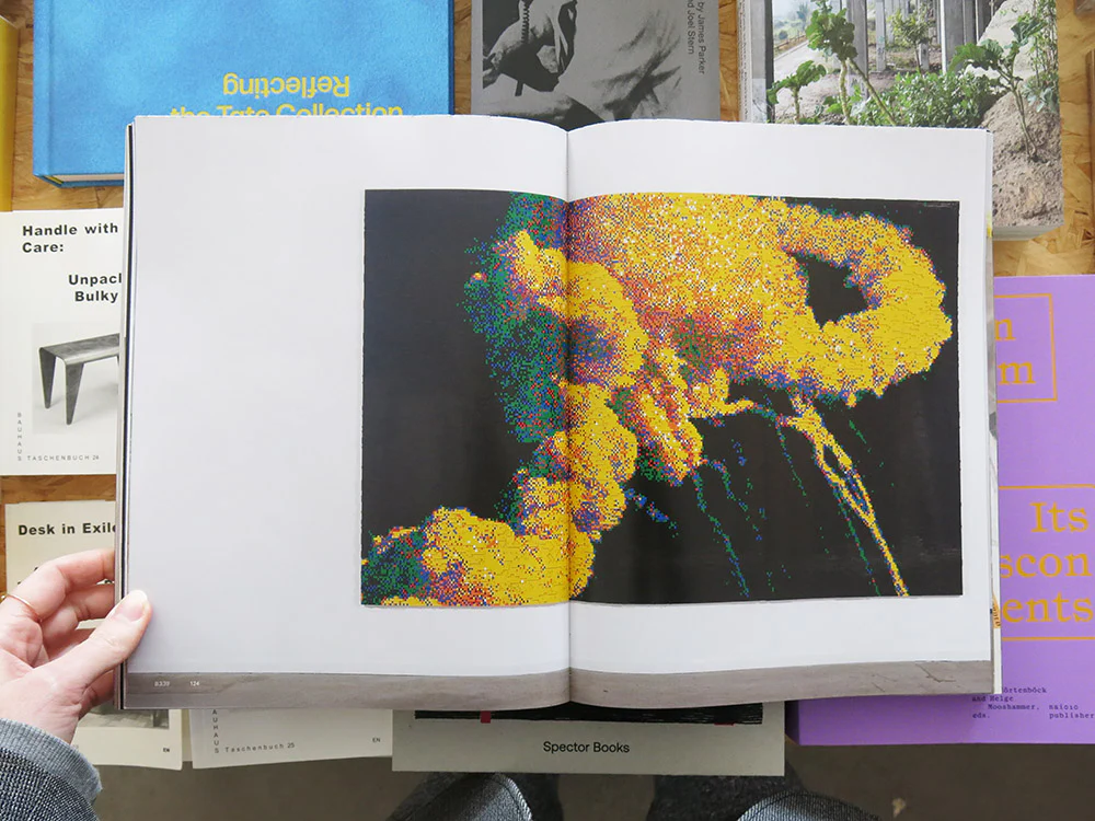 Claire Healy & Sean Cordeiro – Ready-made Ruin - Image 5