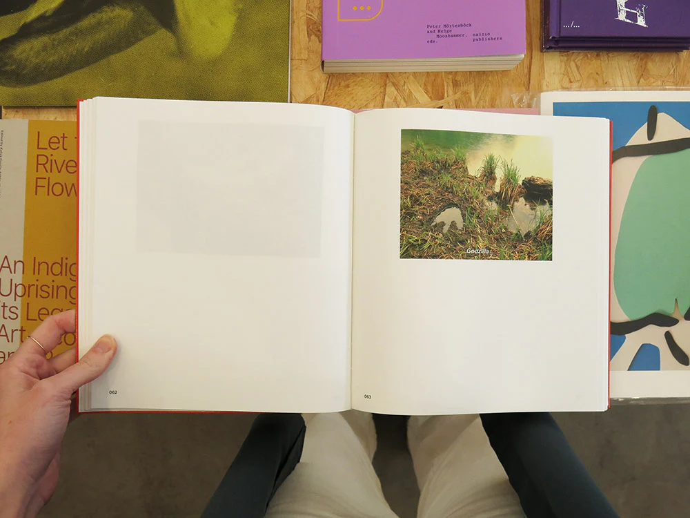 David Favrod – Gaijin Omoide Poroporo Hikari - Image 3