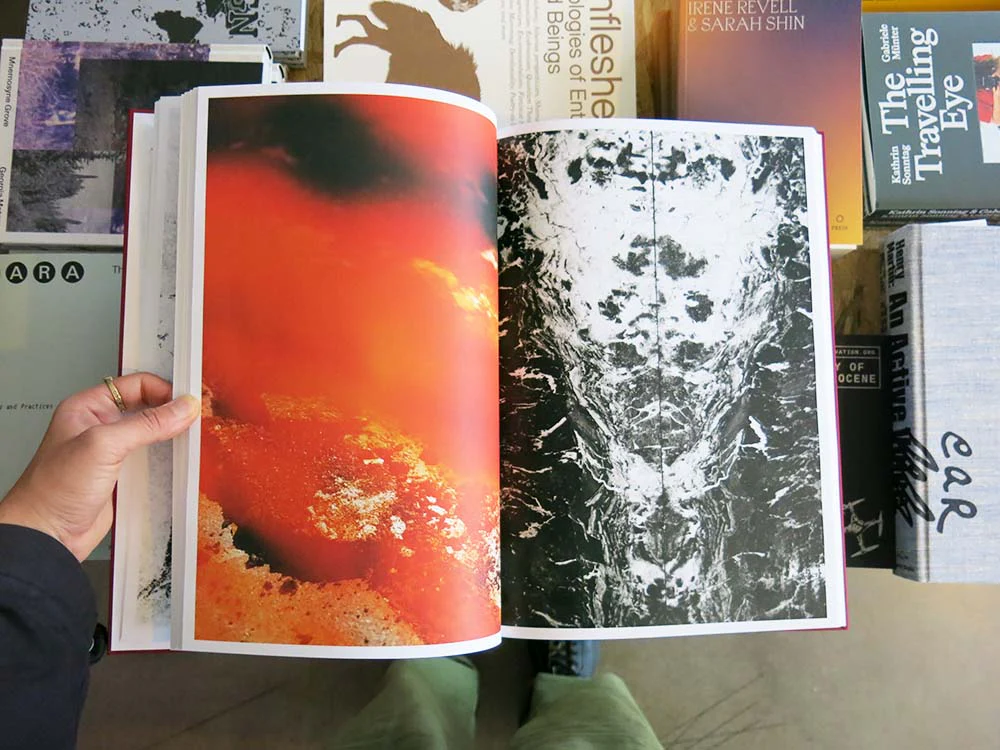 David Jiménez – ROMA - Image 3