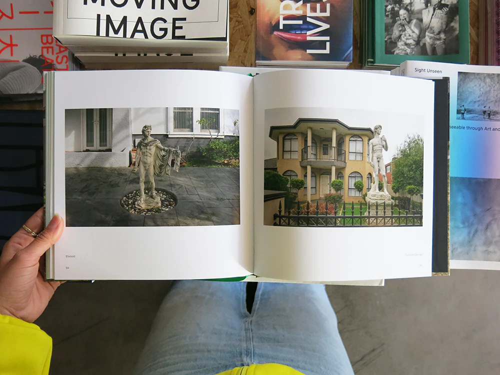 David Wadelton – Front Yard - Image 4