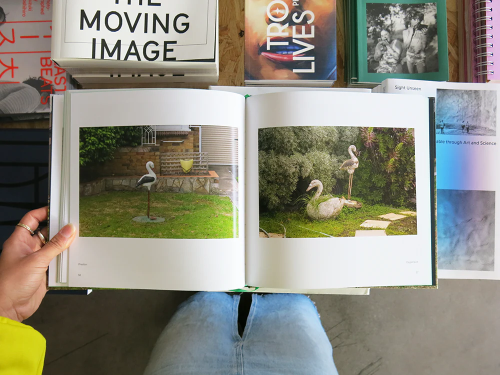 David Wadelton – Front Yard - Image 7
