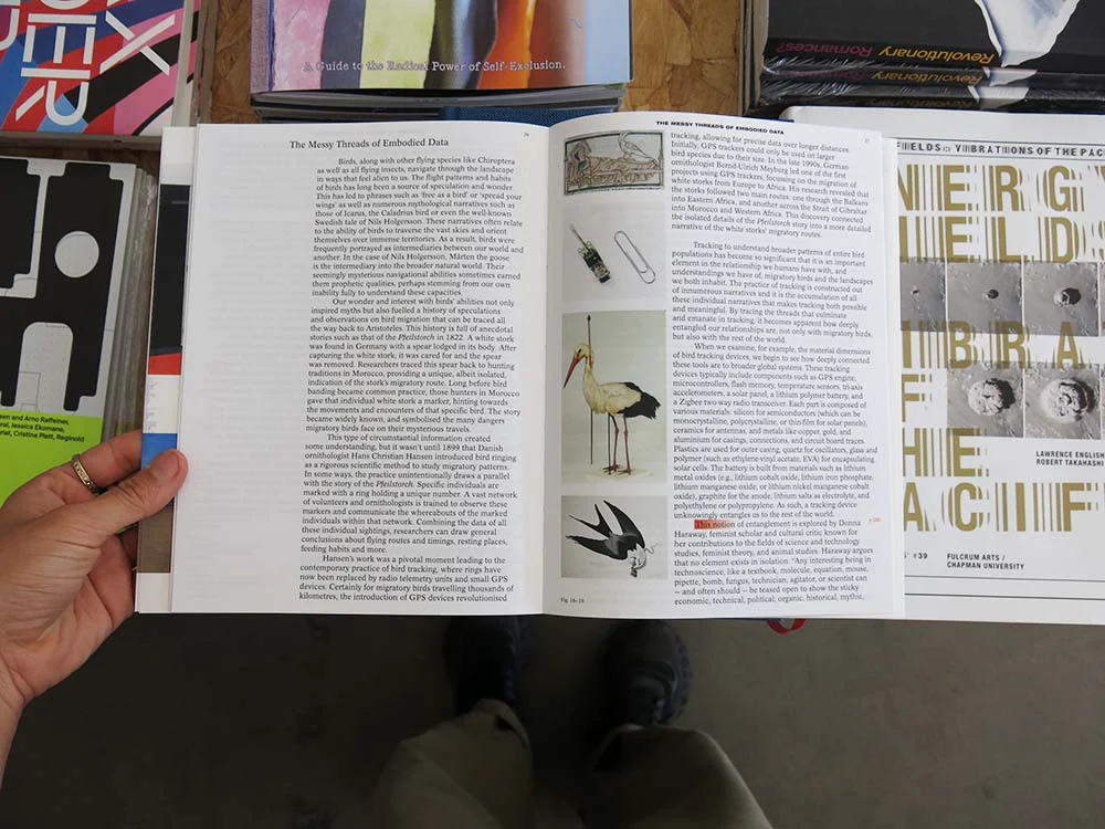 Decentering Design — Practice in a More-than-human World - Image 10