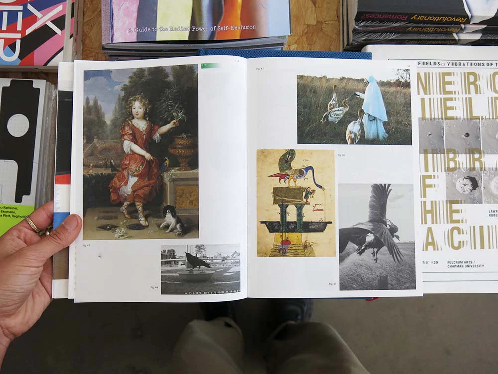 Decentering Design — Practice in a More-than-human World - Image 7