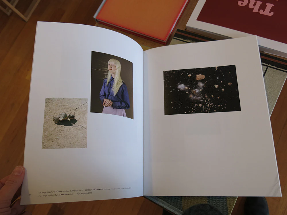 Der Greif - A Process - Image 5