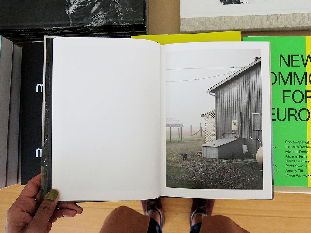 Ed Panar – In the Vicinity - Image 3