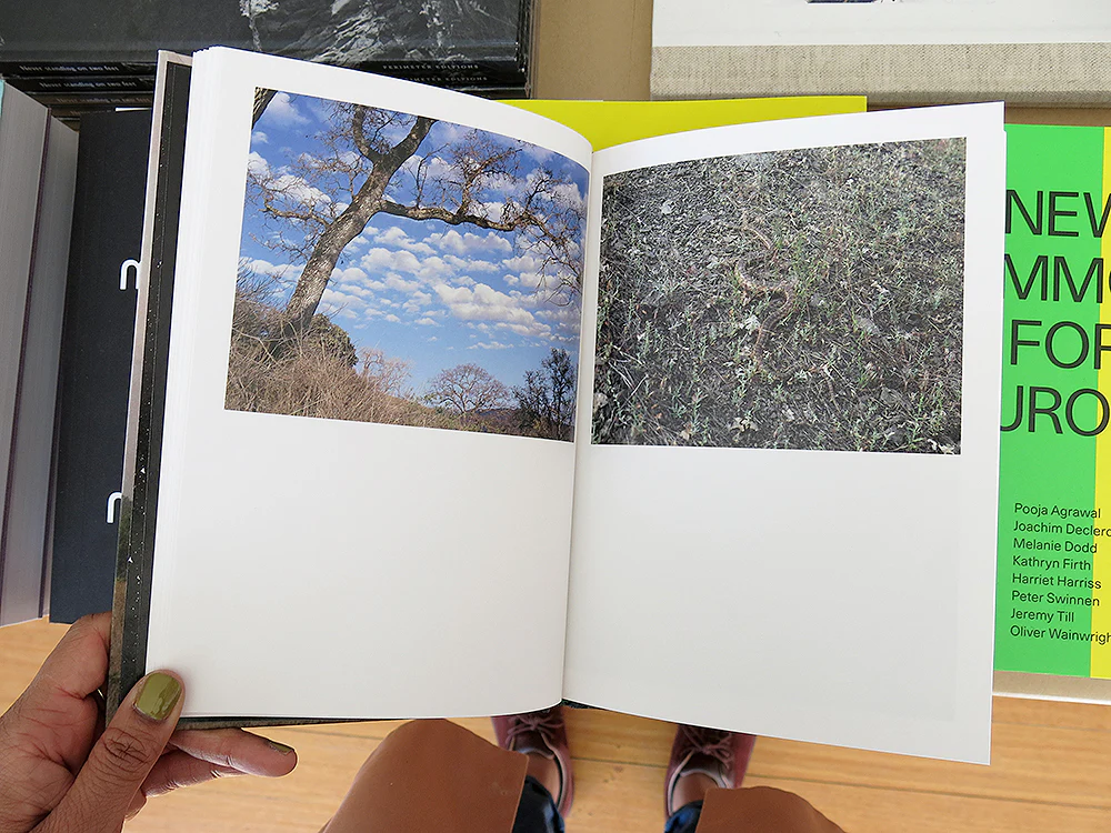 Ed Panar – In the Vicinity - Image 5