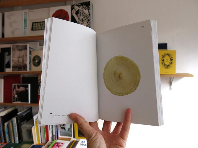 Elad Lassry - On Onions - Image 5