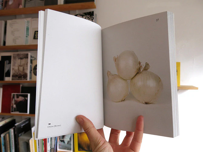 Elad Lassry - On Onions - Image 6