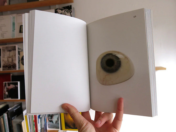 Elad Lassry - On Onions - Image 7