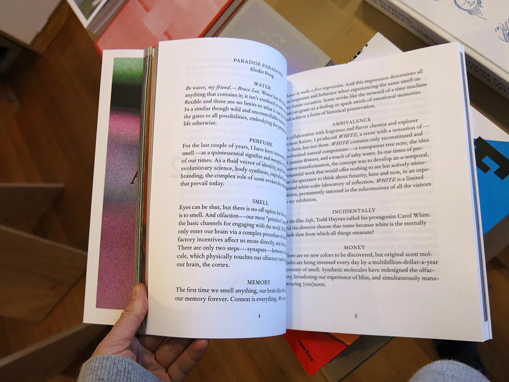 Elodie Pong - Paradise Paradoxe - Image 4