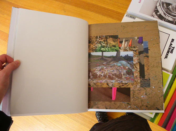 Elspeth Diederix - Things As They Are - Image 5