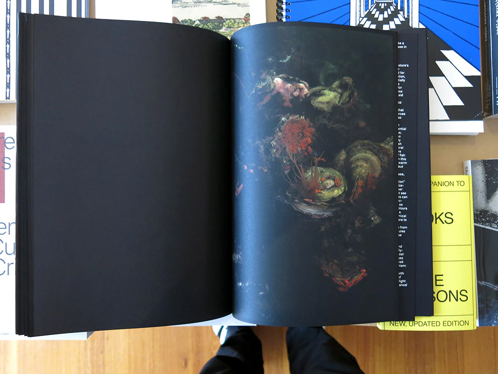 Elspeth Diederix - When Red Disappears - Image 6