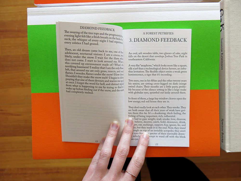 Félicia Atkinson – A Forest Petrifies: Diamond Feedback - Image 2