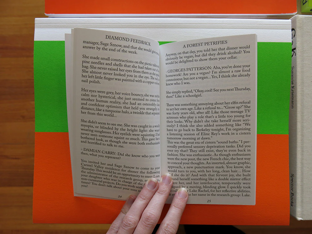 Félicia Atkinson – A Forest Petrifies: Diamond Feedback - Image 3