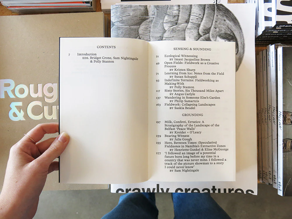 PRE-ORDER: Fieldwork for Future Ecologies: Radical practice for art and art-based research - Image 2