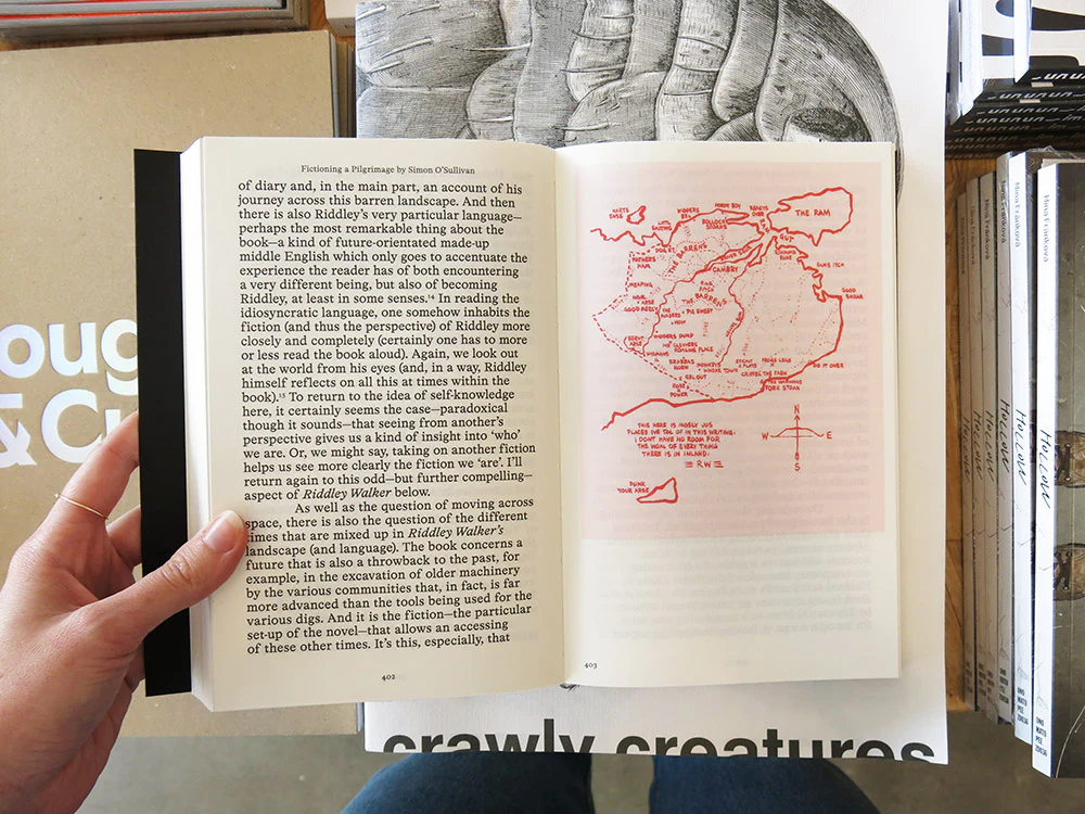 PRE-ORDER: Fieldwork for Future Ecologies: Radical practice for art and art-based research - Image 9