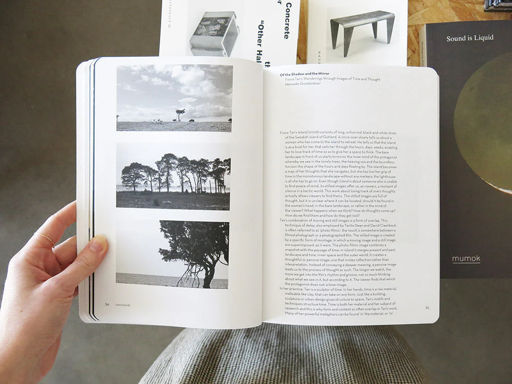 Fiona Tan – Mountains and Molehills - Image 4