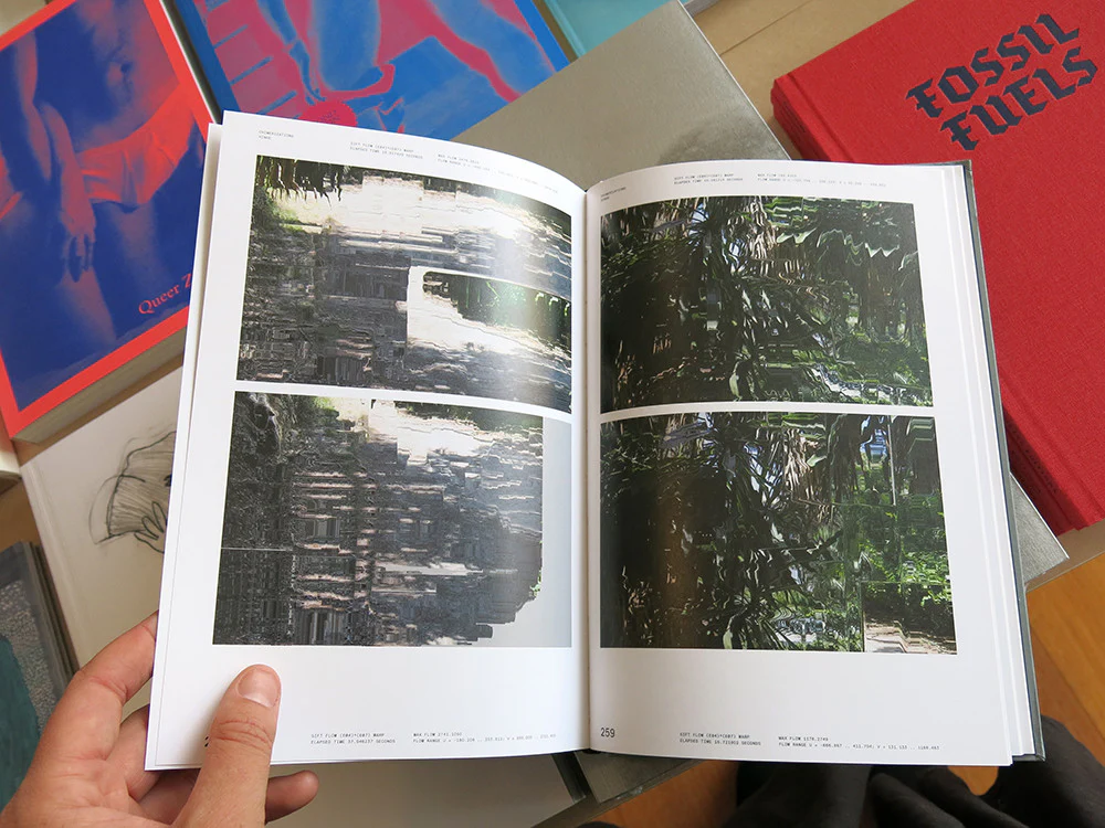 Florian Hecker - Chimerizations - Image 8