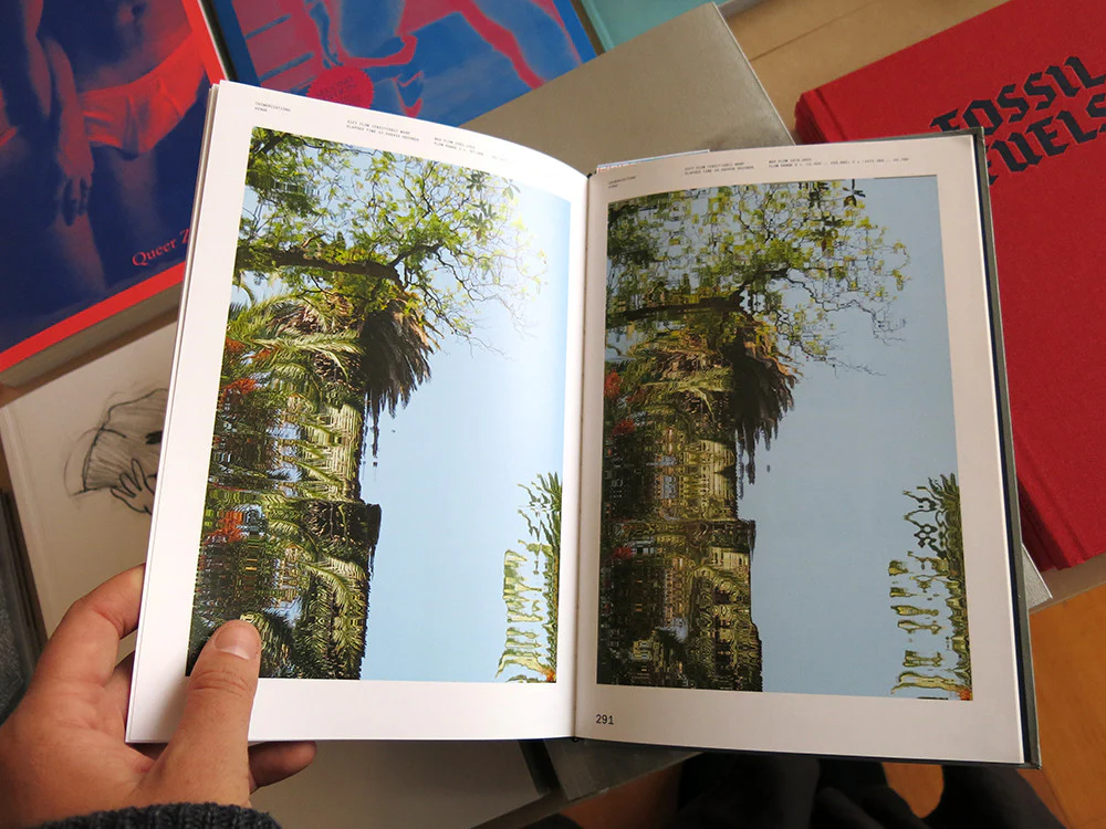 Florian Hecker - Chimerizations - Image 9