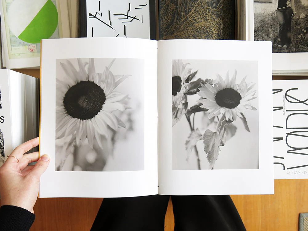 Gen Kay – Sunflowers - Image 3