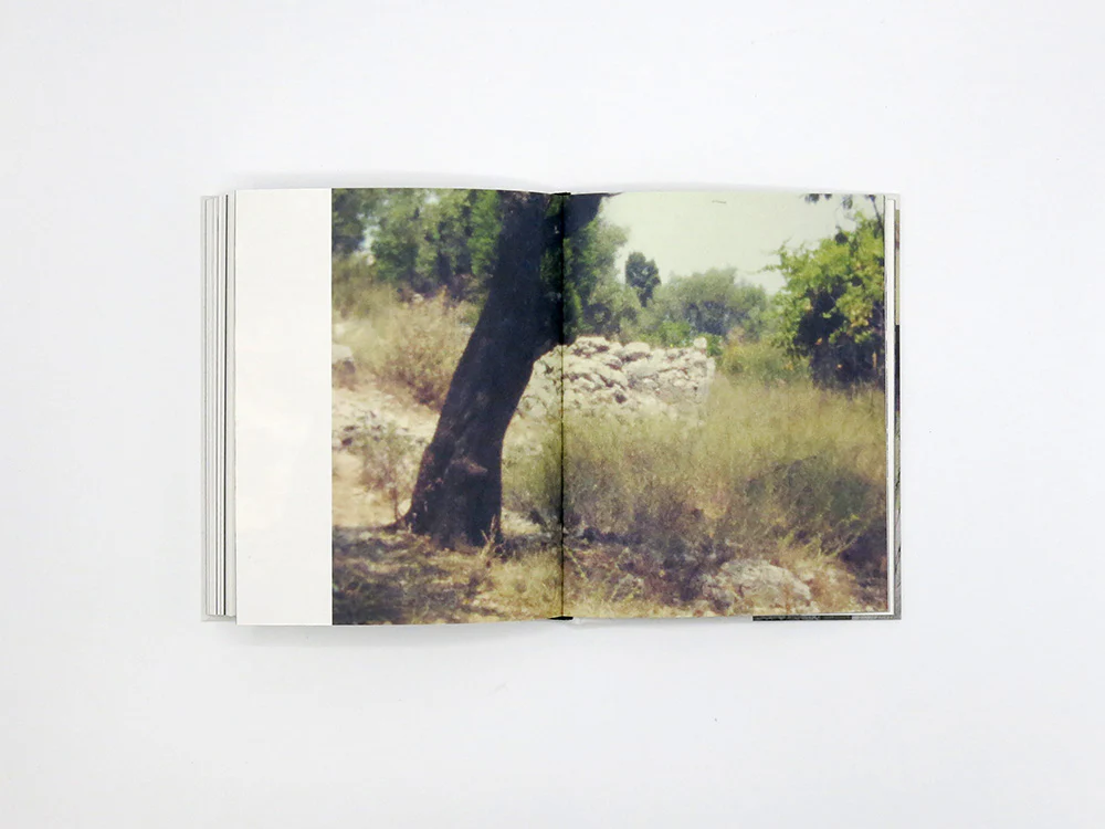 Georgia Metaxas – Mnemosyne Grove - Image 12