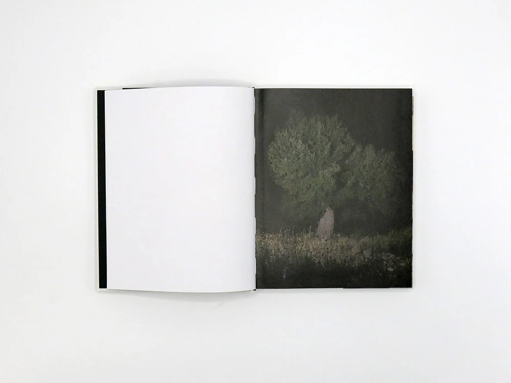 Georgia Metaxas – Mnemosyne Grove - Image 3
