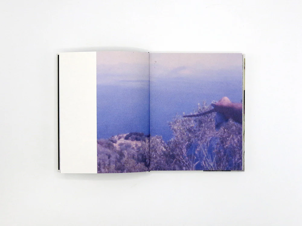Georgia Metaxas – Mnemosyne Grove - Image 4