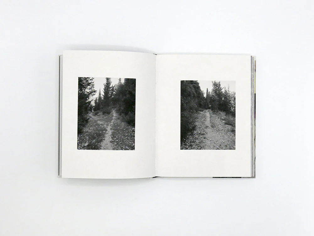 Georgia Metaxas – Mnemosyne Grove - Image 5