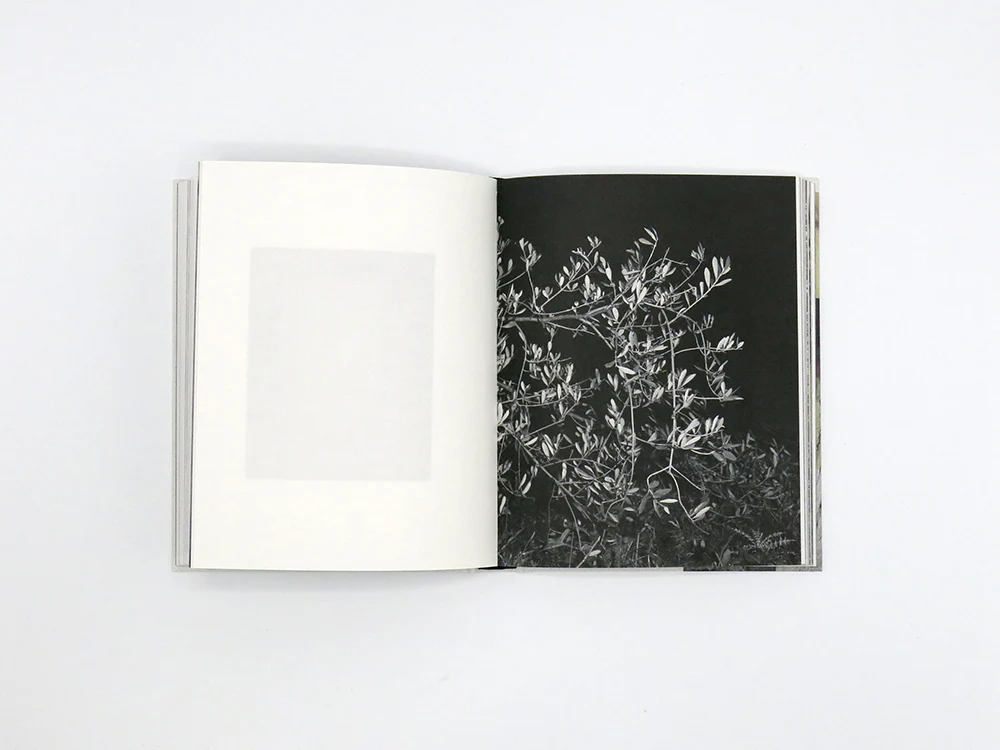 Georgia Metaxas – Mnemosyne Grove - Image 8