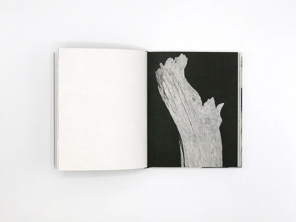 Georgia Metaxas – Mnemosyne Grove - Image 9