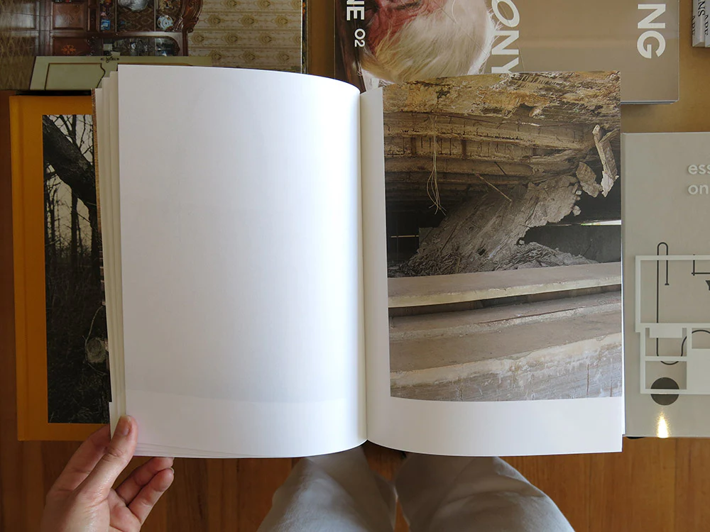 Giovanna Silva – Niemeyer4ever - Image 4