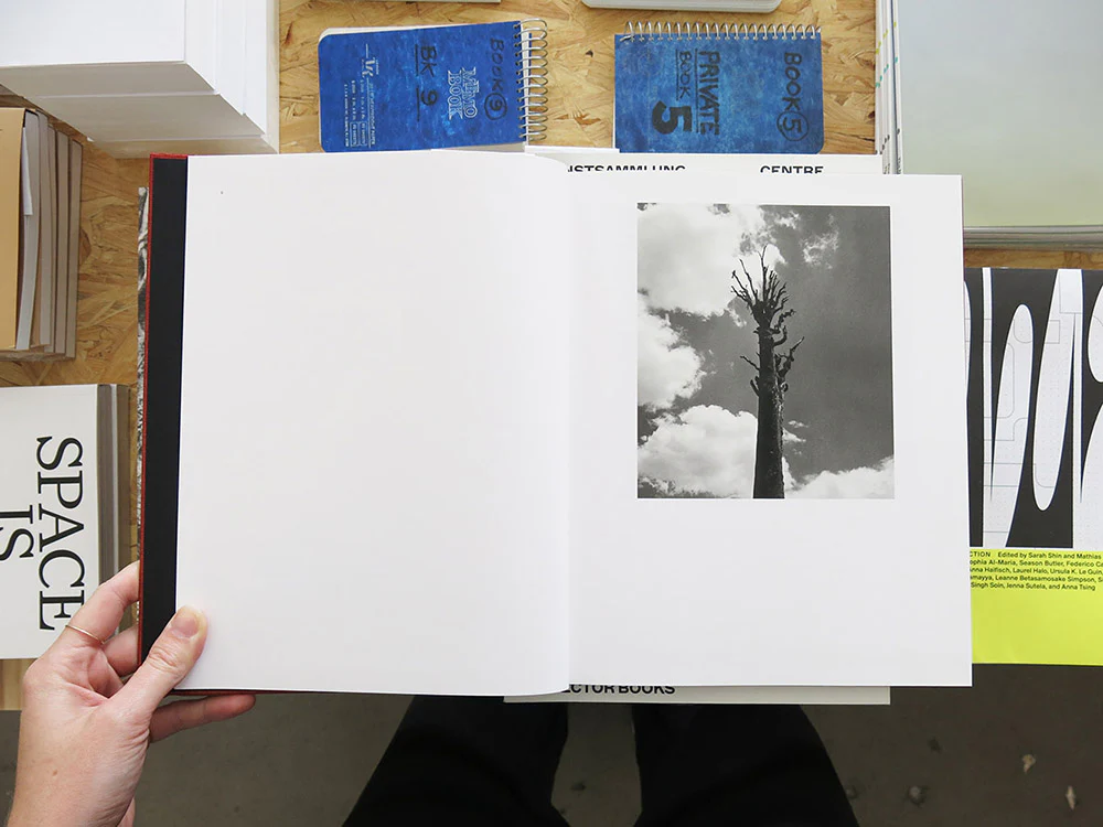 Graciela Iturbide – On Birds (Des oiseaux) - Image 2