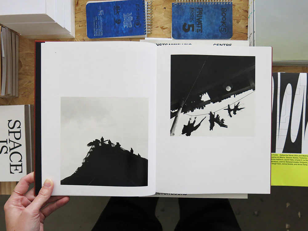 Graciela Iturbide – On Birds (Des oiseaux) - Image 3