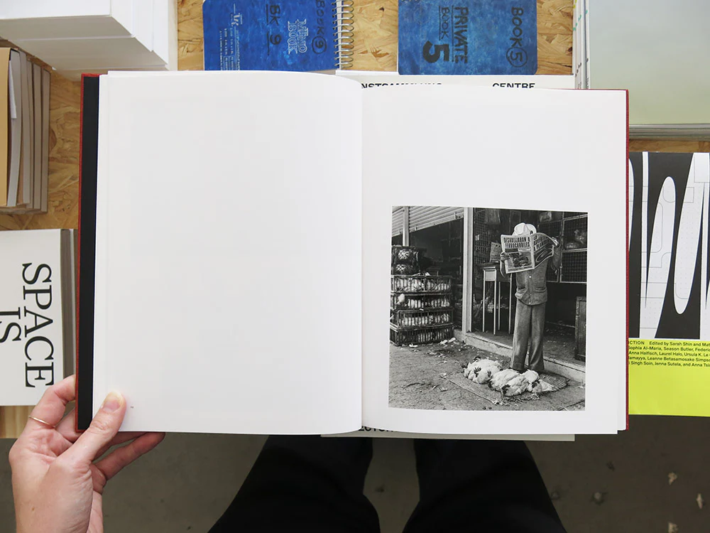 Graciela Iturbide – On Birds (Des oiseaux) - Image 4