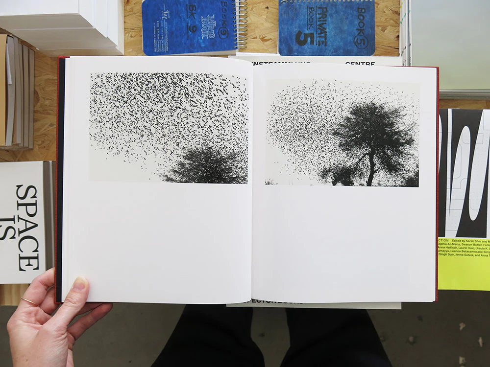 Graciela Iturbide – On Birds (Des oiseaux) - Image 5