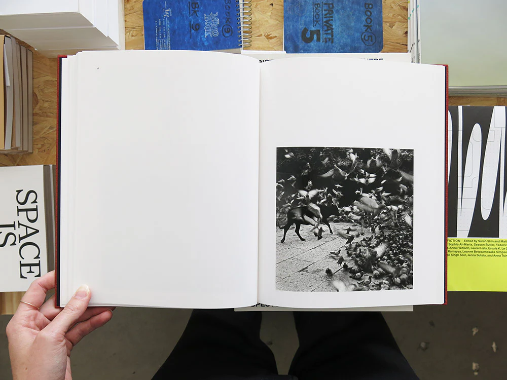 Graciela Iturbide – On Birds (Des oiseaux) - Image 6