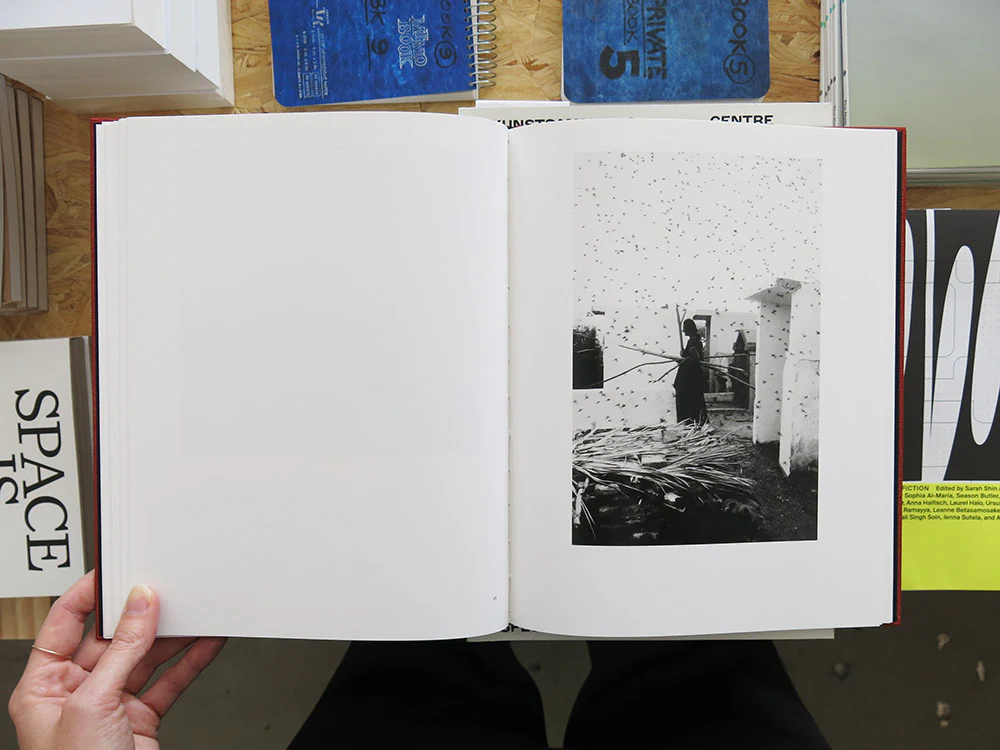 Graciela Iturbide – On Birds (Des oiseaux) - Image 7