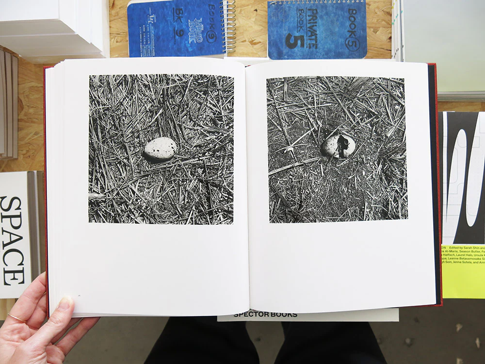 Graciela Iturbide – On Birds (Des oiseaux) - Image 8
