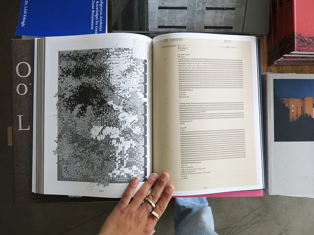 Graphic 50: Voice, Notes from Typojanchi 2023 - Image 3