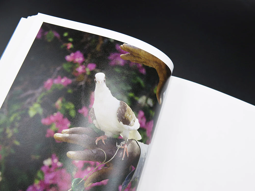 Gregory Halpern – ZZYZX (Signed) - Image 5
