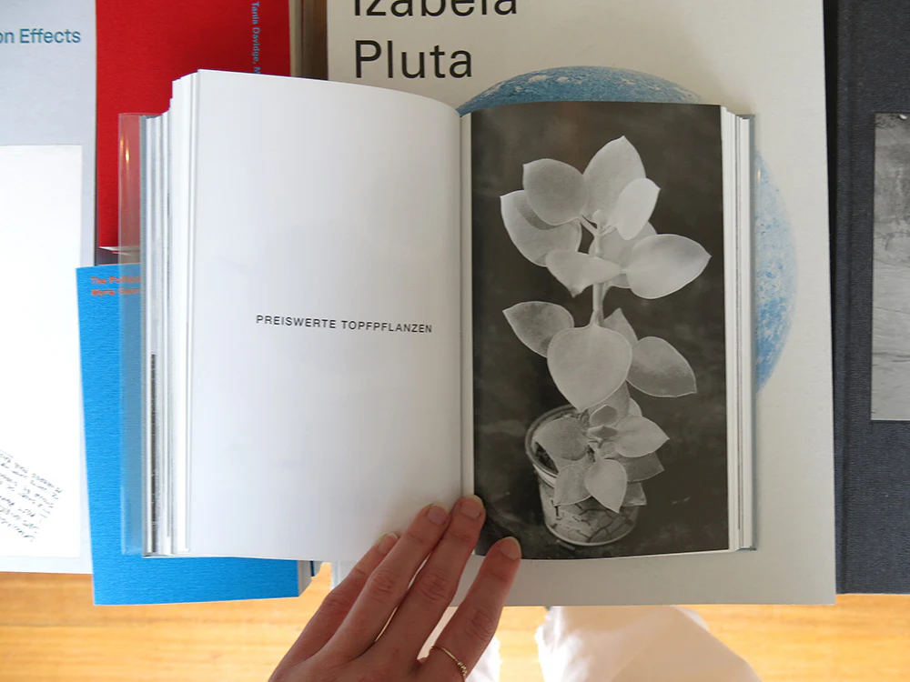 Guadalupe Ruiz – Kleine Fotoenzyklopädie - Image 6