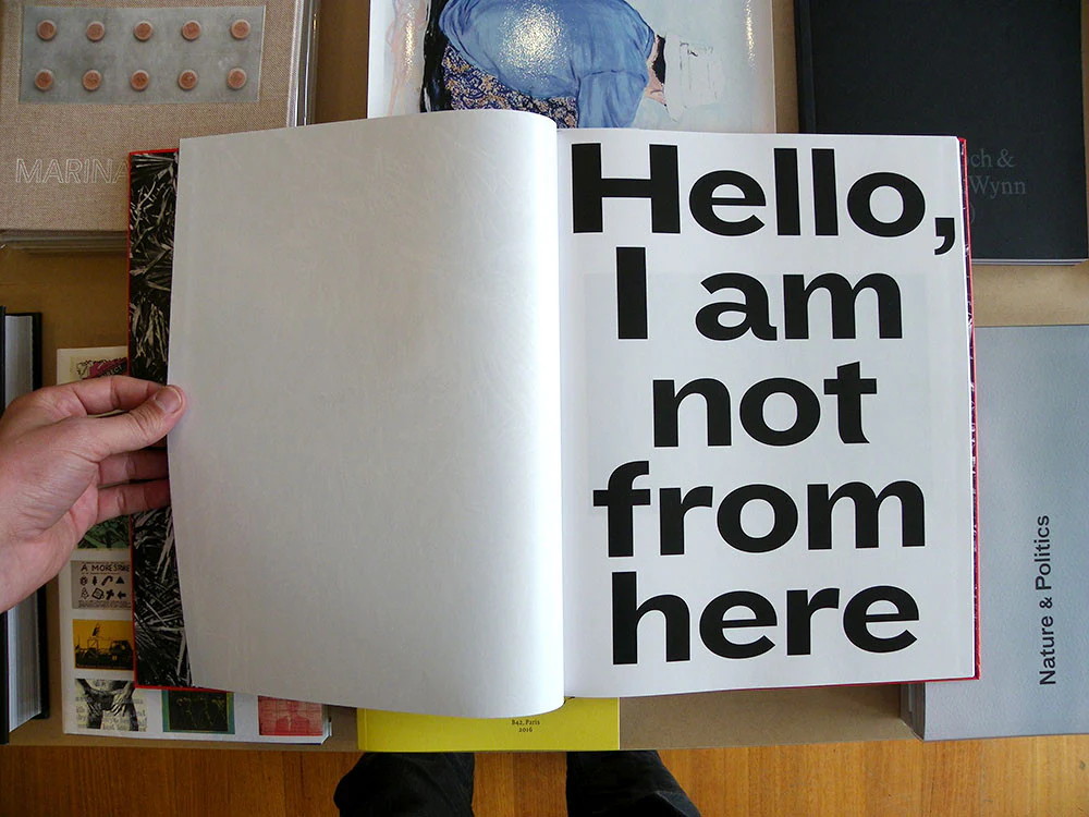 Peter Hauser - Hello I Am Not From Here - Image 2