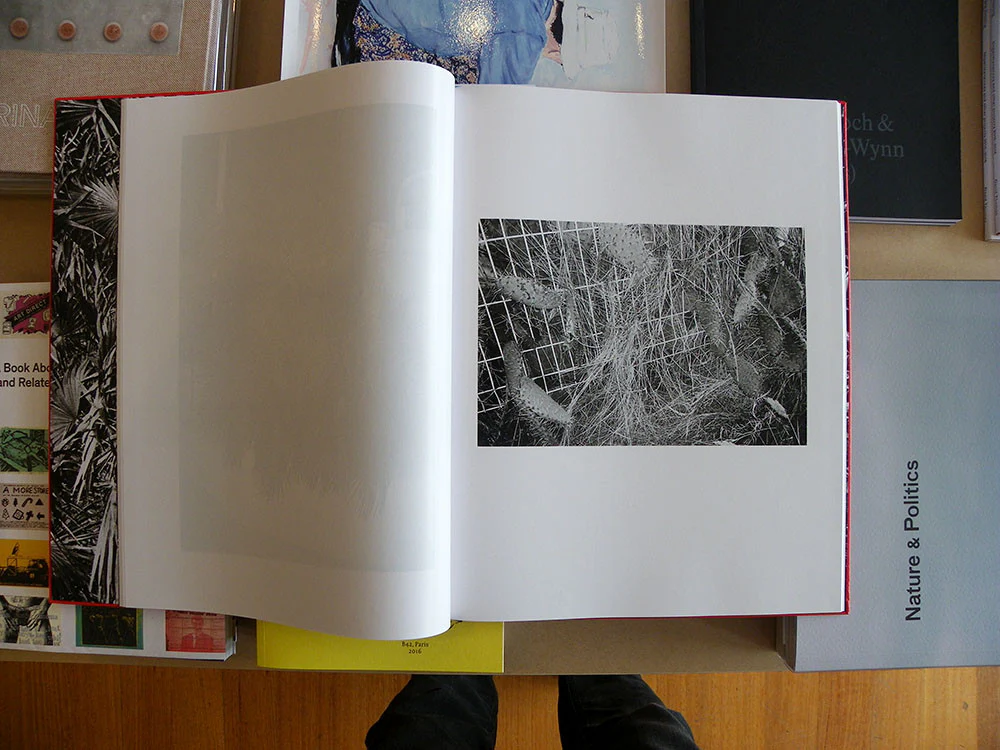Peter Hauser - Hello I Am Not From Here - Image 5