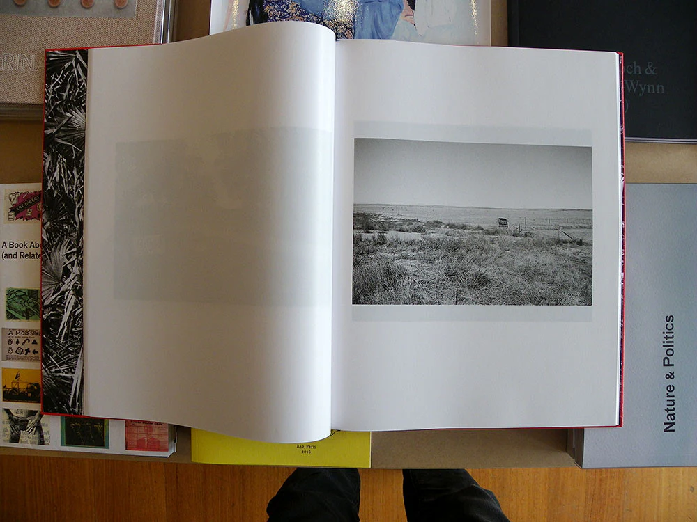 Peter Hauser - Hello I Am Not From Here - Image 6