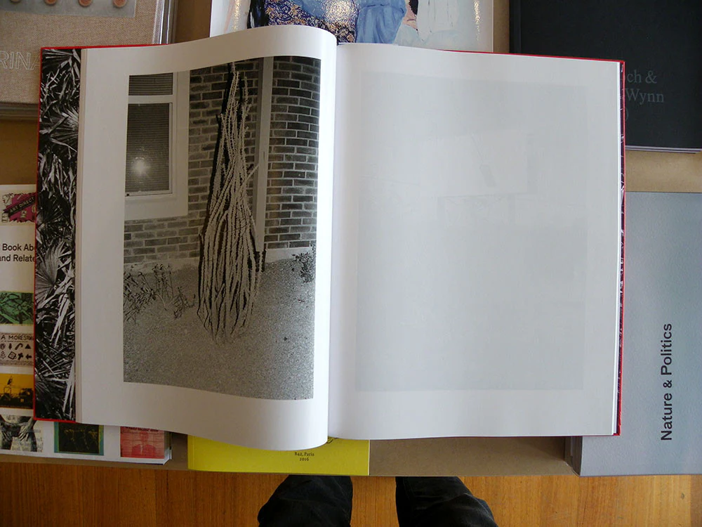 Peter Hauser - Hello I Am Not From Here - Image 7